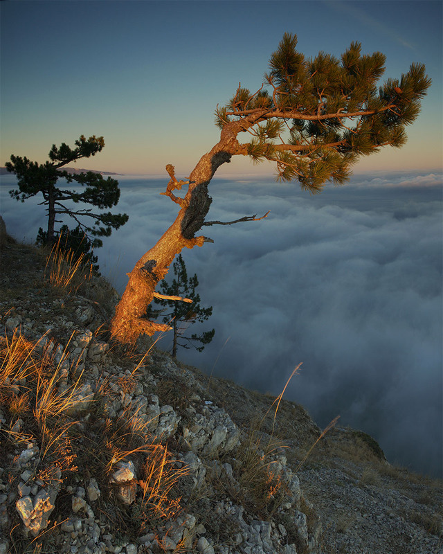 Фотографія Рядом с облаками. / Sergey Shulga / photographers.ua