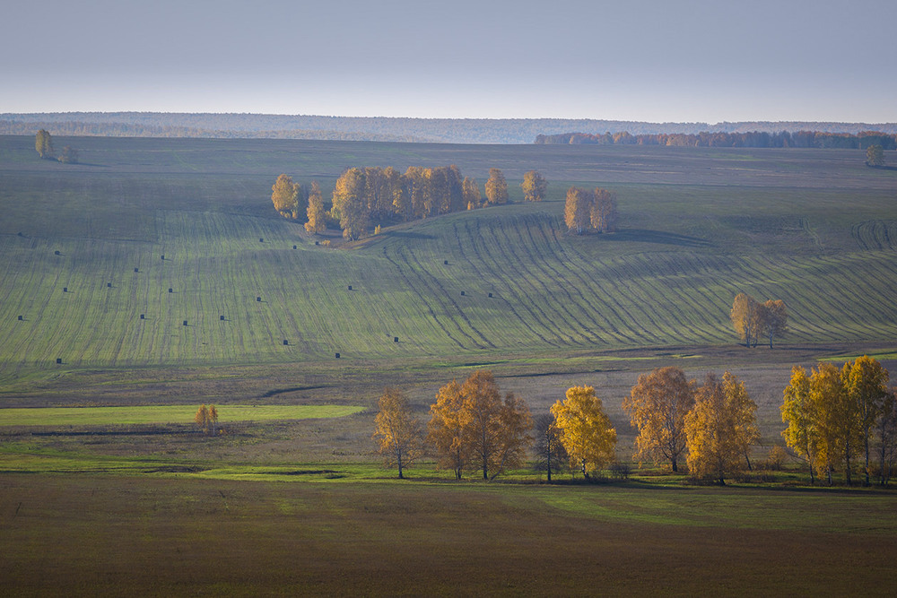 Фотографія Осенний мотив. / Sergey Shulga / photographers.ua