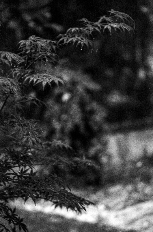 Фотографія Пейзаж / Олександра Бонд / photographers.ua