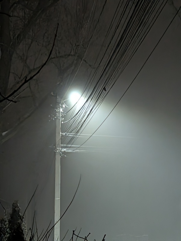 Фотографія Нічна соната / Олександра Бонд / photographers.ua