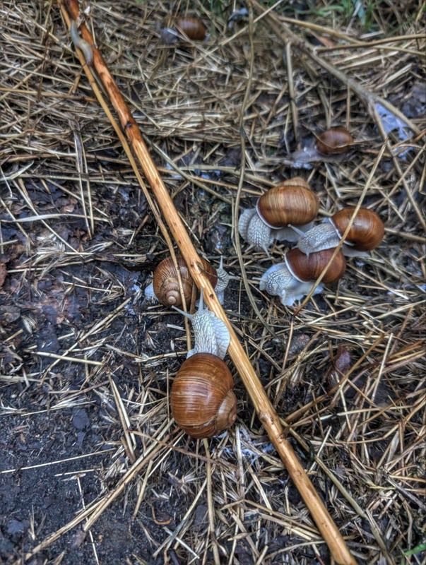 Фотографія Слизька нарада ч.1: кворум / Олександра Бонд / photographers.ua