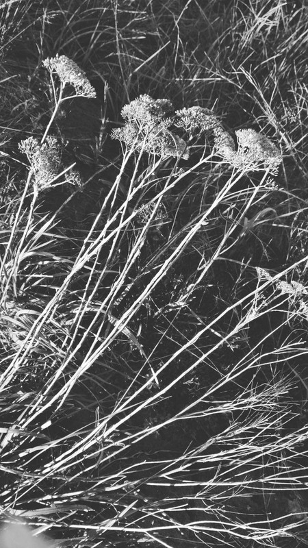 Фотографія Разное / Олександра Бонд / photographers.ua