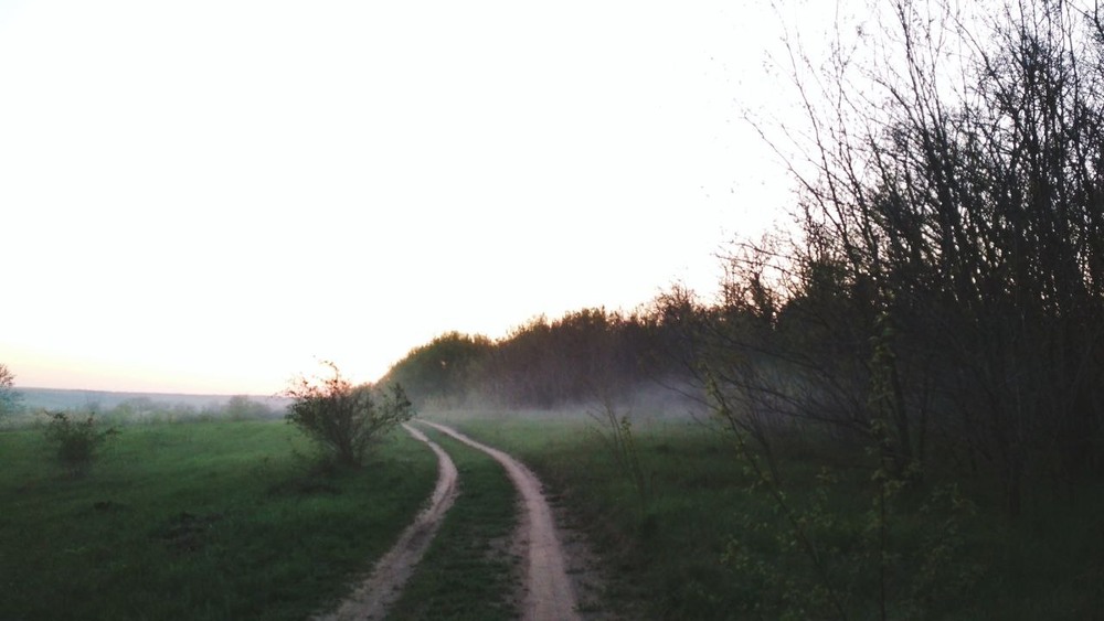 Фотографія Не гуляй по лісах в надвечір'ї, як чугайстри забили кальян:) / Олександра Бонд / photographers.ua