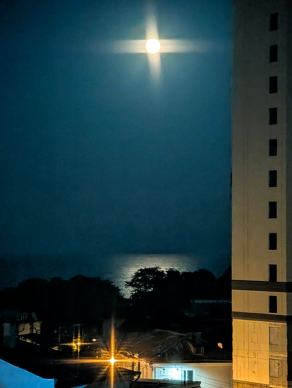 Фотографія Оленяча повня / Олександра Бонд / photographers.ua