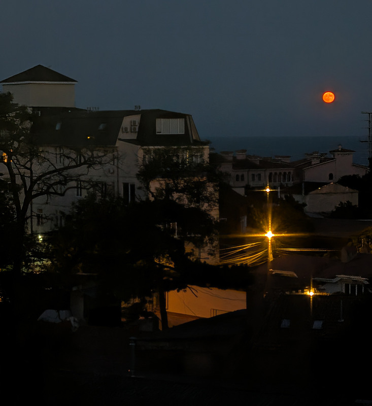 Фотографія Стиглий кукват здіймається над горизонтом, вечір запалить сяйні цитрини ліхтарні / Олександра Бонд / photographers.ua
