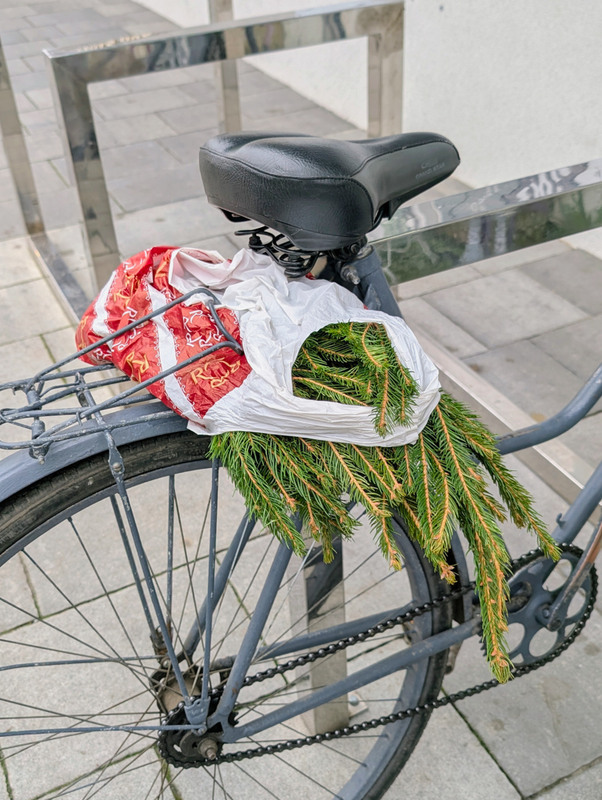 Фотографія З пересвяткового, грудень 2025 / Олександра Бонд / photographers.ua