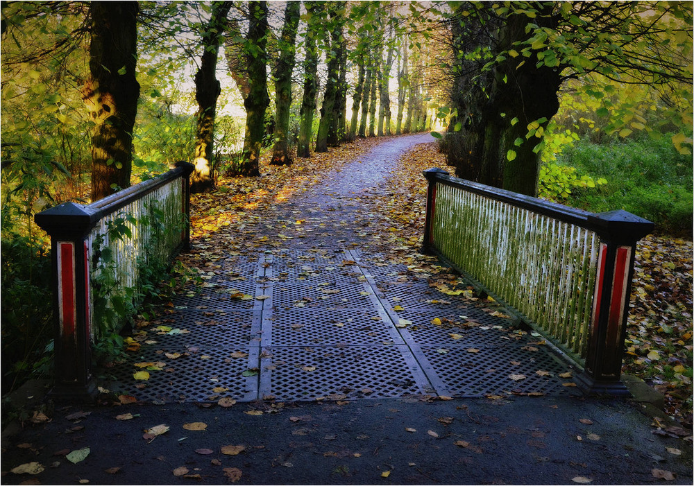 Фотографія " Дорога - в последнюю осень" / Николай Галилеев... / photographers.ua