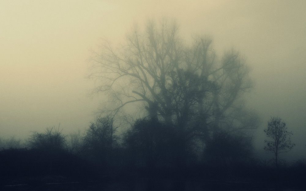 Фотографія " В загадочной туманной дымке ...." / Николай Галилеев... / photographers.ua