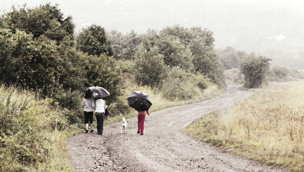 Фотографія " По дороге -под проливным дождём " / Николай Галилеев... / photographers.ua