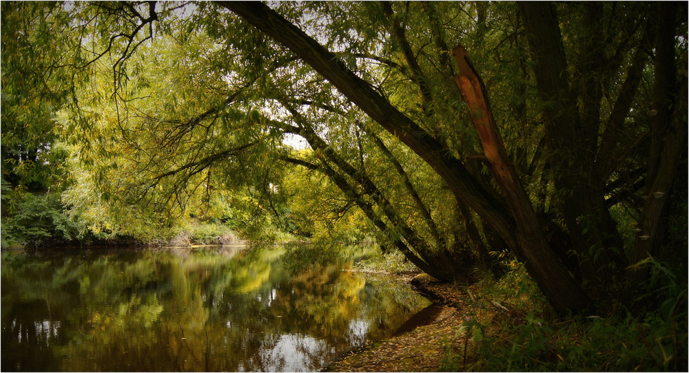 Фотографія *** / Николай Галилеев... / photographers.ua