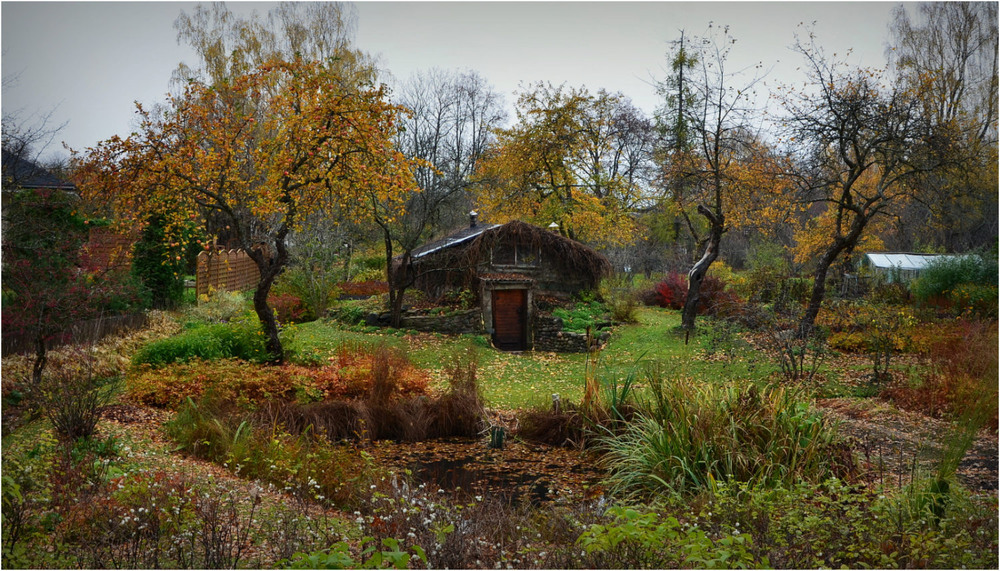 Фотографія " Осенний сад" / Николай Галилеев... / photographers.ua