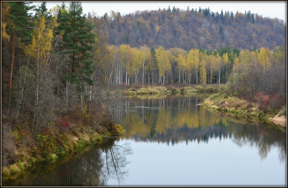 Фотографія Осенняя палитра... / Николай Галилеев... / photographers.ua