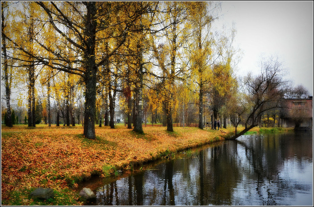 Фотографія *** / Николай Галилеев... / photographers.ua