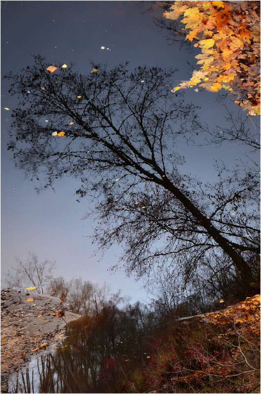 Фотографія " Осень. Ночь......... " / Николай Галилеев... / photographers.ua