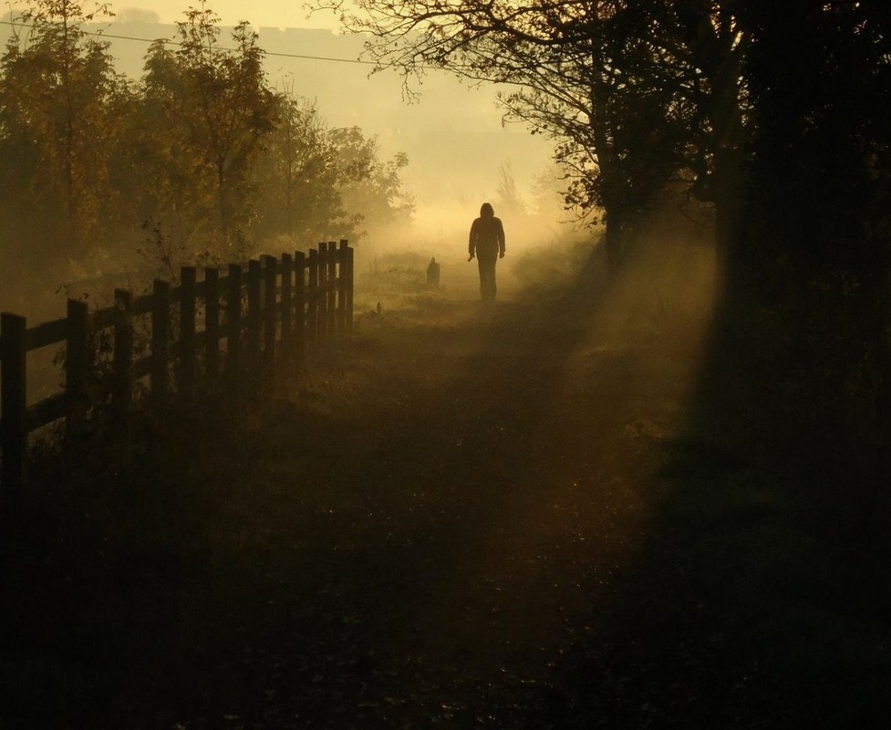 Фотографія "Прогулка в Осень" / Николай Галилеев... / photographers.ua
