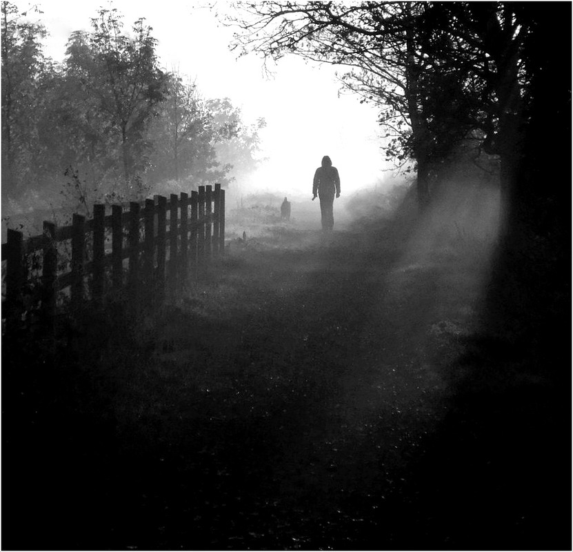 Фотографія Walk with a black and white fog. / Николай Галилеев... / photographers.ua