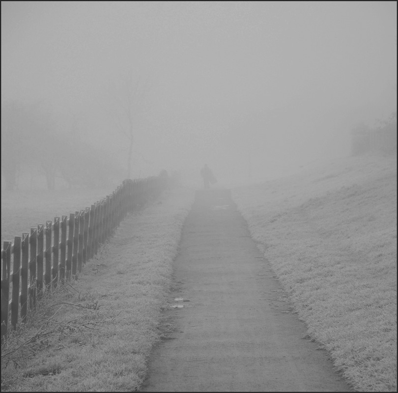 Фотографія " Заблудившись в тумане " / Николай Галилеев... / photographers.ua