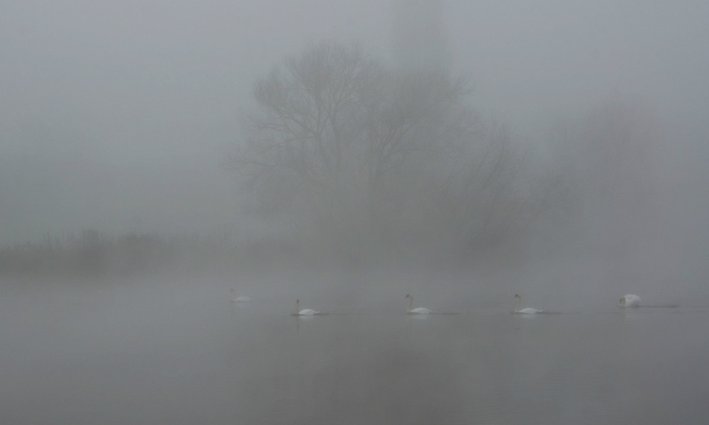 Фотографія На рейде , в тумане... / Николай Галилеев... / photographers.ua