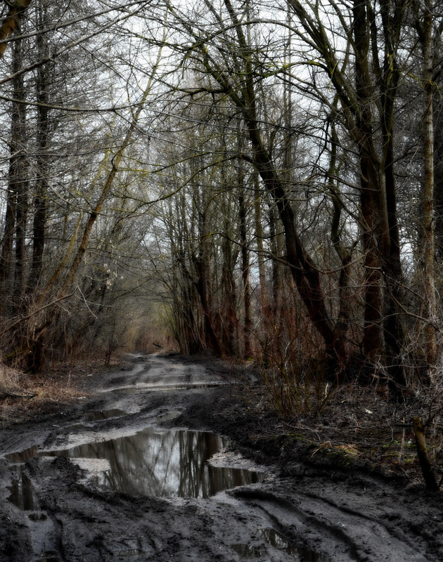 Фотографія Эх Догоги... / Николай Галилеев... / photographers.ua