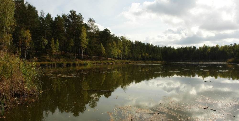 Фотографія "Лесное озеро с отражением- Лета" / Николай Галилеев... / photographers.ua