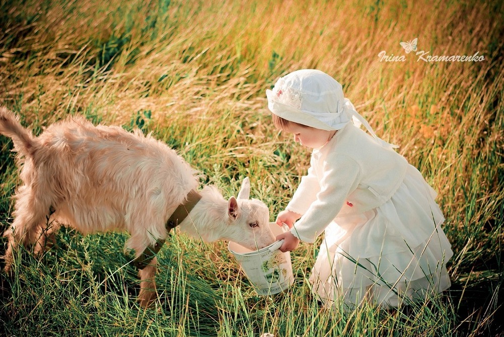 Фотографія Детский мир / Irinka Kramarenko / photographers.ua