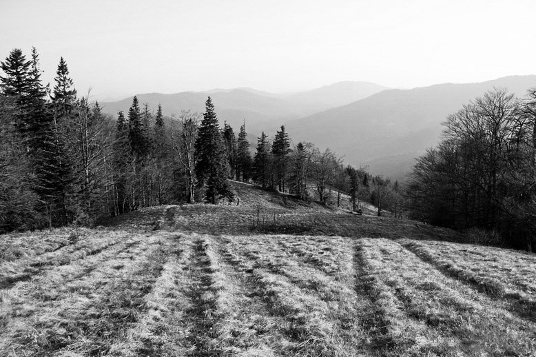 Фотографія Пейзаж / ДЕН / photographers.ua