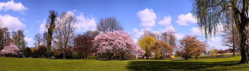 Фотографія весна пришла / Bern / photographers.ua