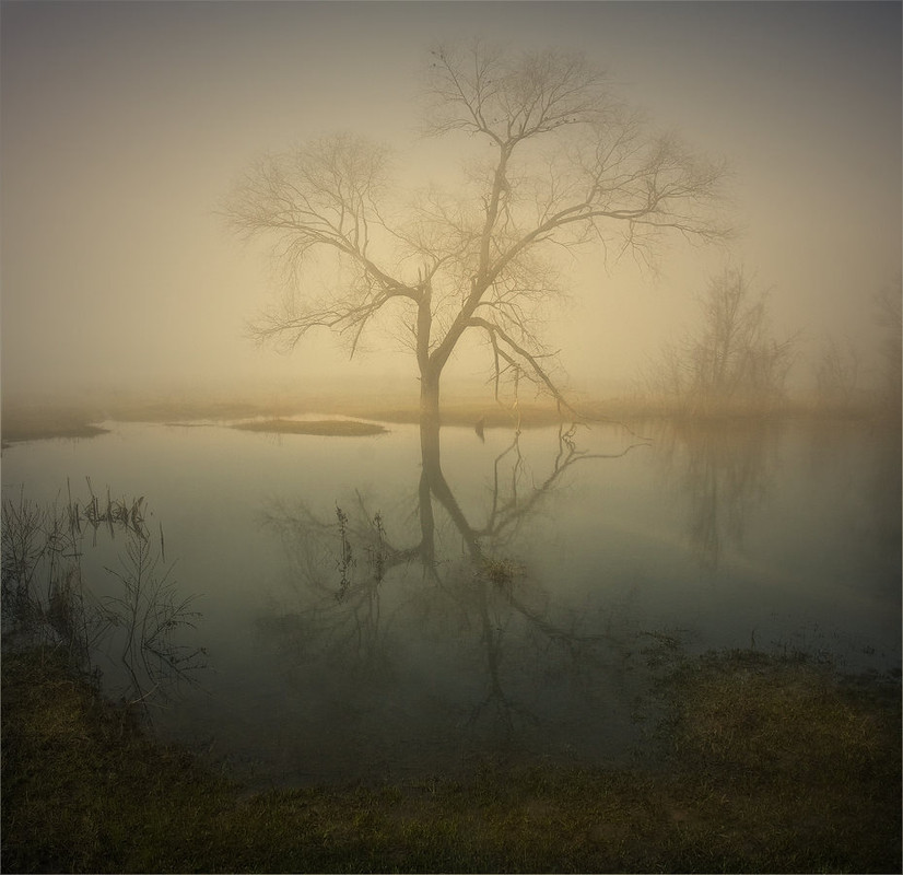 Фотографія Silence and the birds... / Александр Киценко / photographers.ua