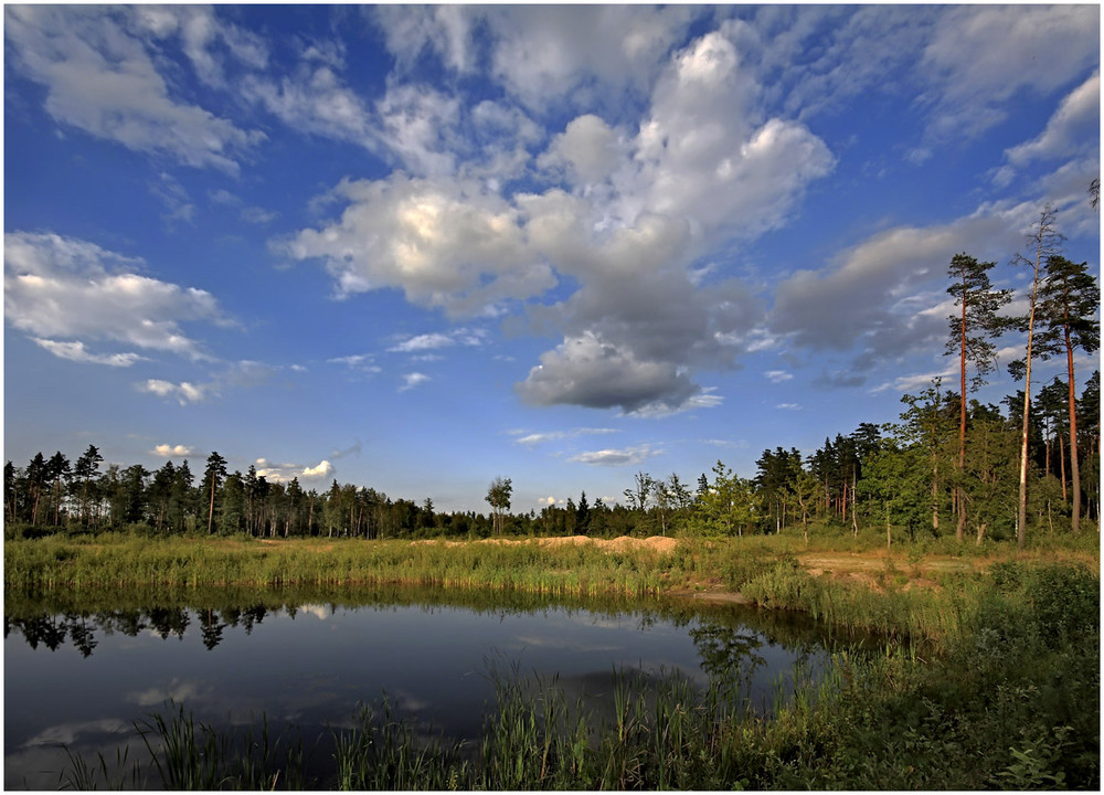 Фотографія Лесное озеро / Михаил Марков / photographers.ua