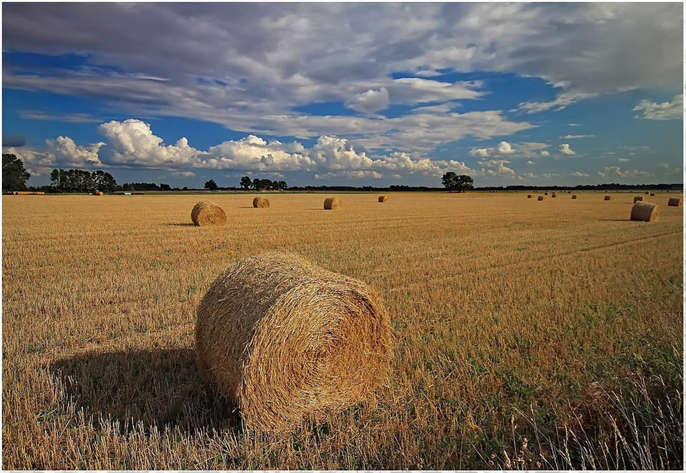 Фотографія Осенний мотивчик / Михаил Марков / photographers.ua