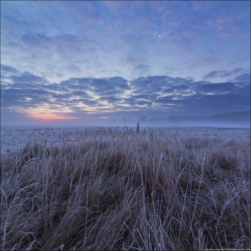 Фотографія Утром в поле / Sergiy Stepanenko / photographers.ua