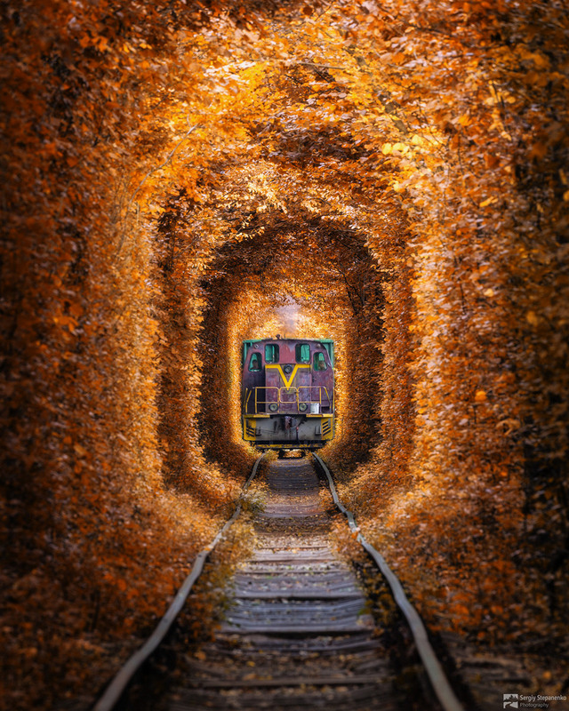 Фотографія Туннель Любви и поезд / Sergiy Stepanenko / photographers.ua