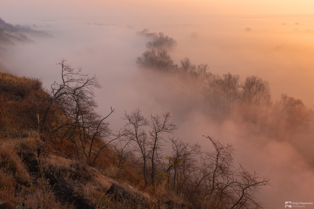 Фотографія Над туманной долиной / Sergiy Stepanenko / photographers.ua
