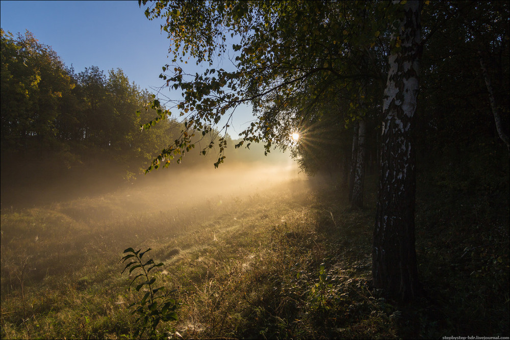 Фотографія В прятки с солнцем 2 / Sergiy Stepanenko / photographers.ua