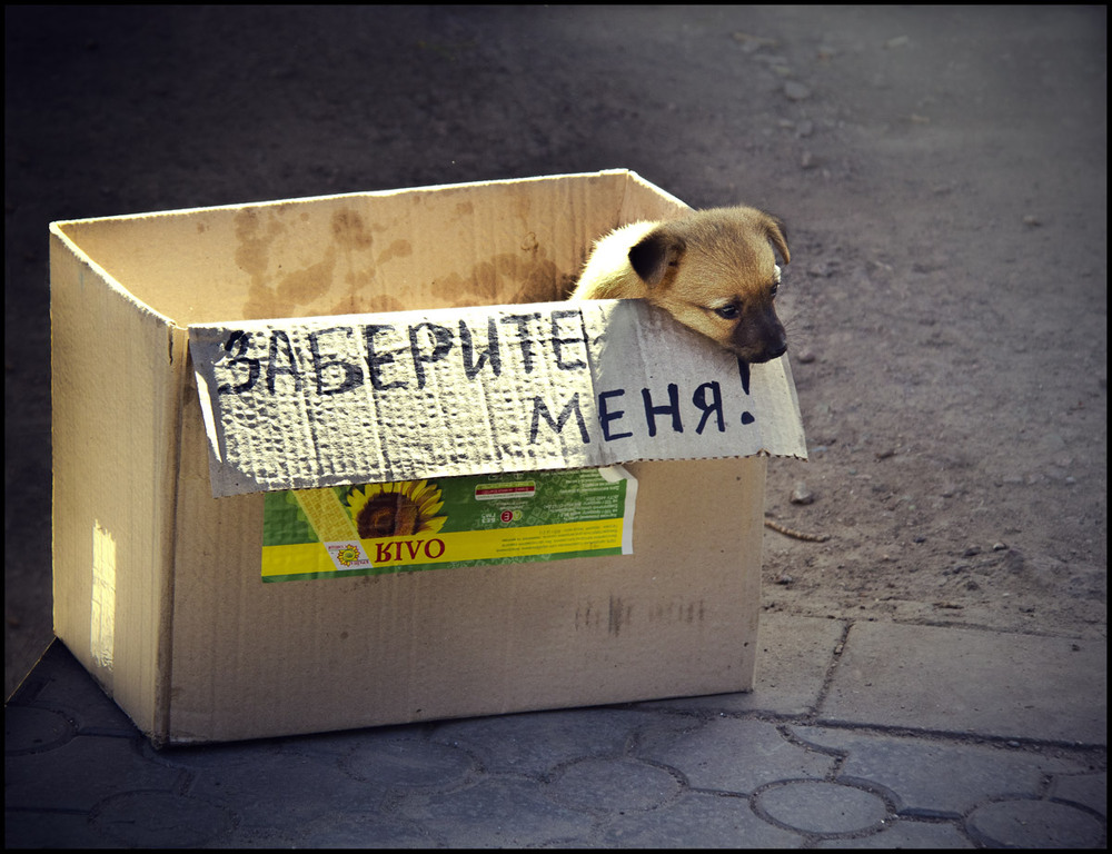 Фотографія Разное / Ал.Костенко / photographers.ua