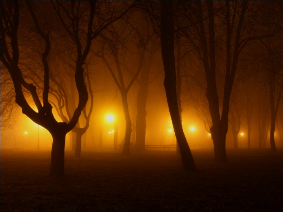 Фотографія Парк в тумане / Дмитрий Моршнев / photographers.ua