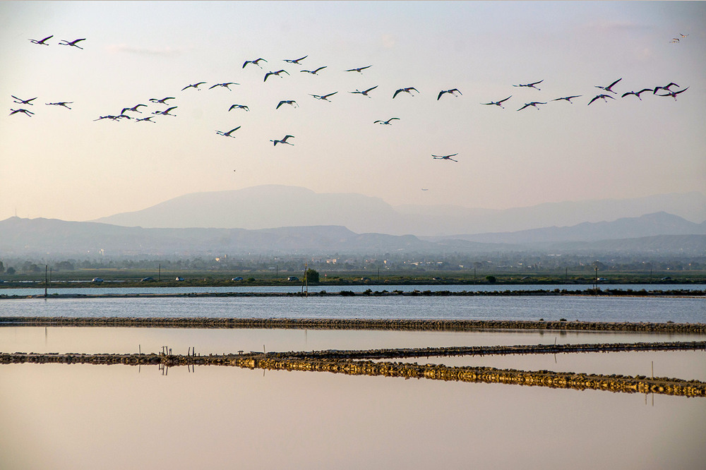 Фотографія вечерело / Завриева / photographers.ua