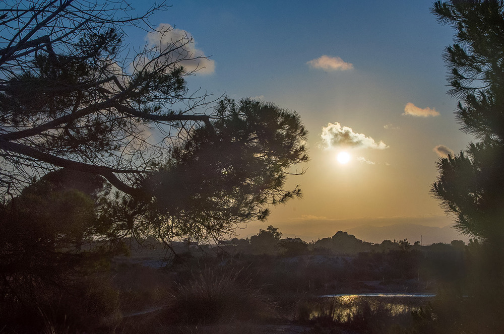 Фотографія Пейзаж / Завриева / photographers.ua