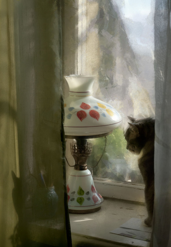 Фотографія кошка на окошке / Завриева / photographers.ua