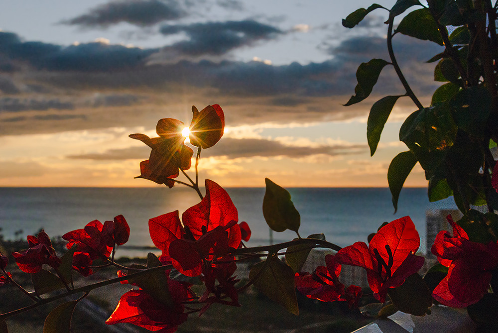 Фотографія доброго ранку / Завриева / photographers.ua