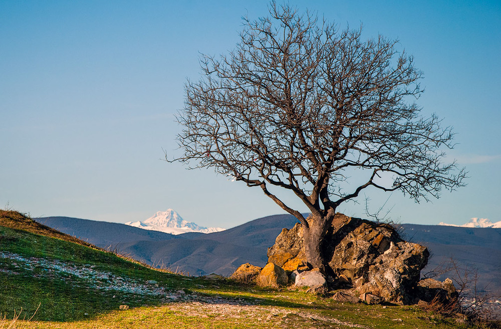Фотографія Вершина / Завриева / photographers.ua