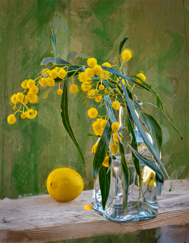 Фотографія весна / Завриева / photographers.ua