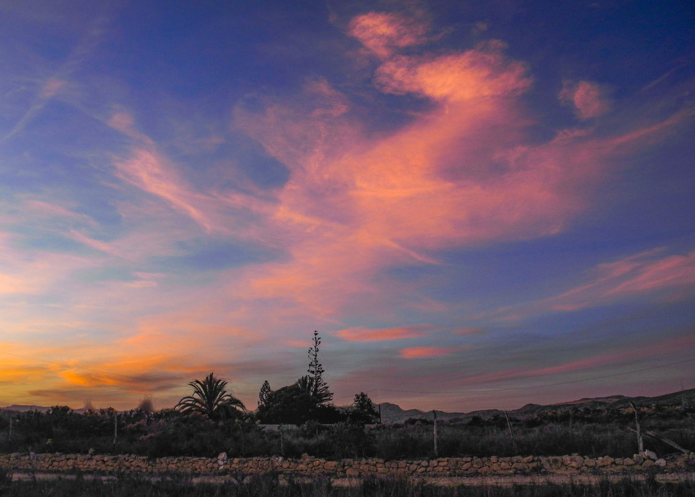 Фотографія небесный посланник / Завриева / photographers.ua