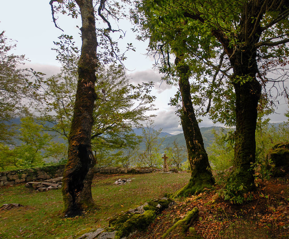 Фотографія осінь у горах / Завриева / photographers.ua