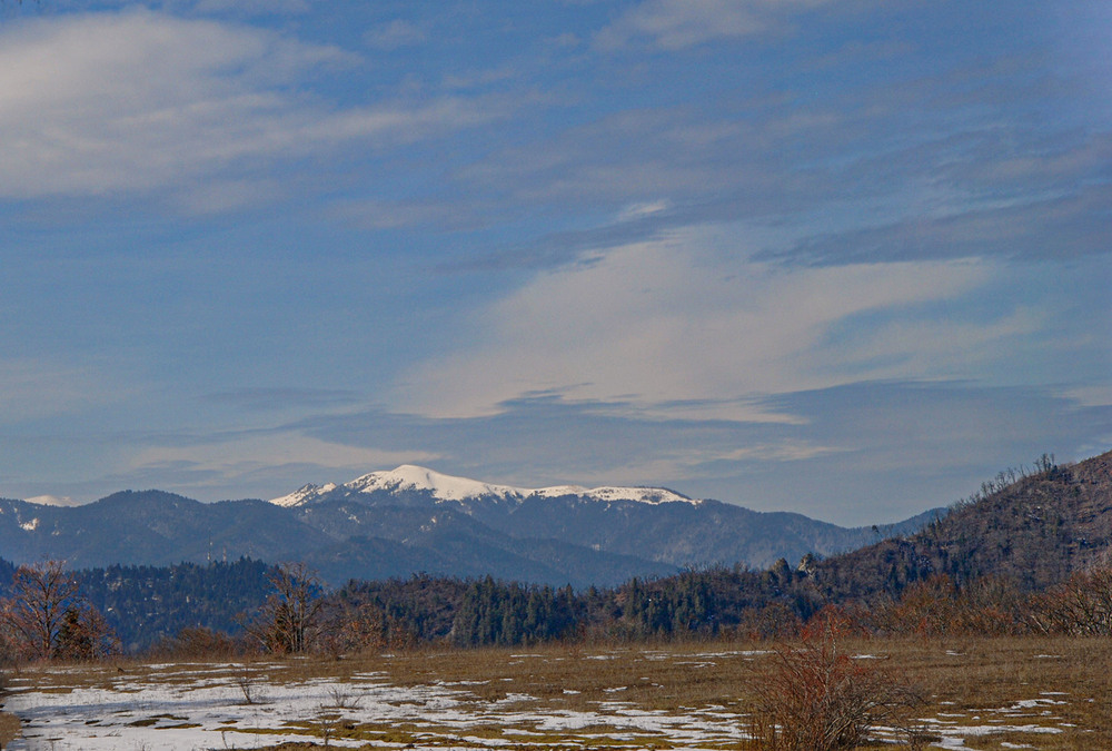 Фотографія *** / Завриева / photographers.ua