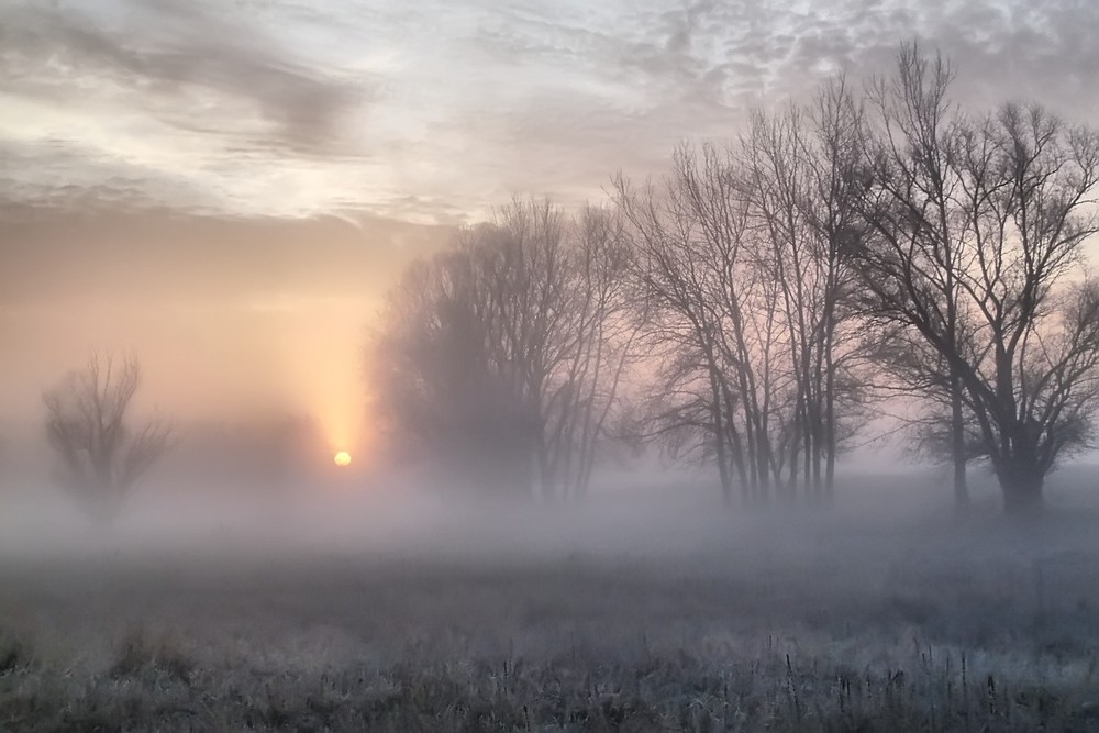 Фотографія Ты меня на рассвете разбудишь... / La Basko / photographers.ua