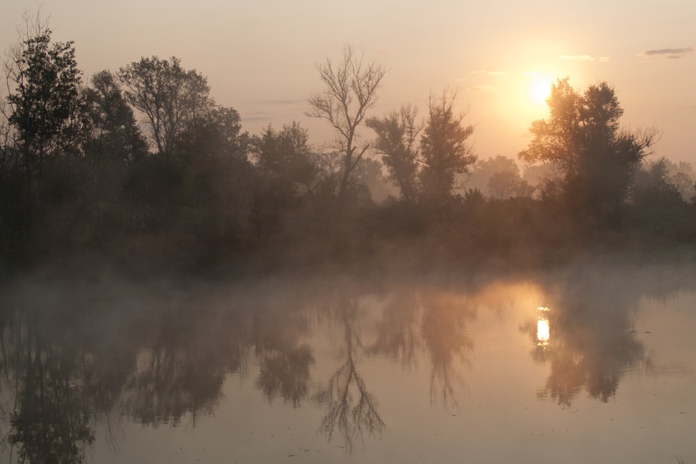 Фотографія утро туманное... / La Basko / photographers.ua