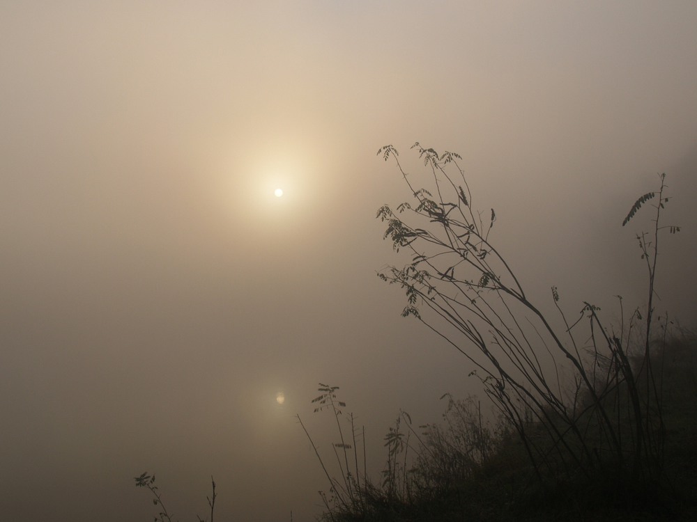 Фотографія Утро туманное... / La Basko / photographers.ua