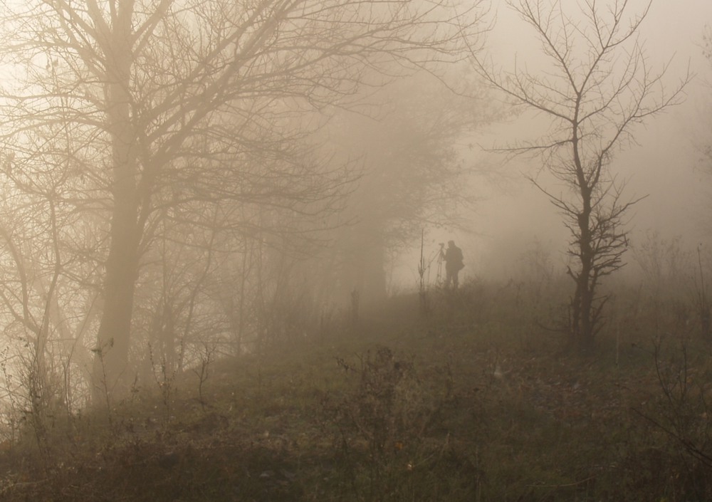 Фотографія Охотник за туманами / La Basko / photographers.ua