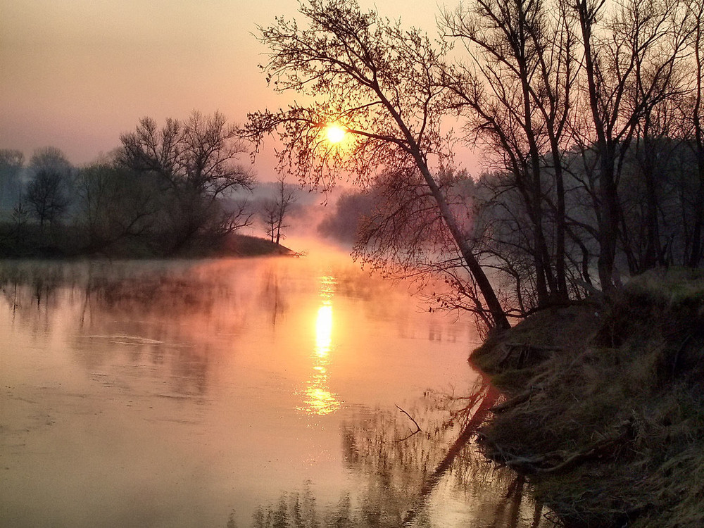 Фотографія *** / La Basko / photographers.ua